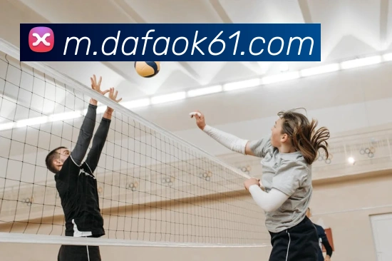 多媒体互动体验